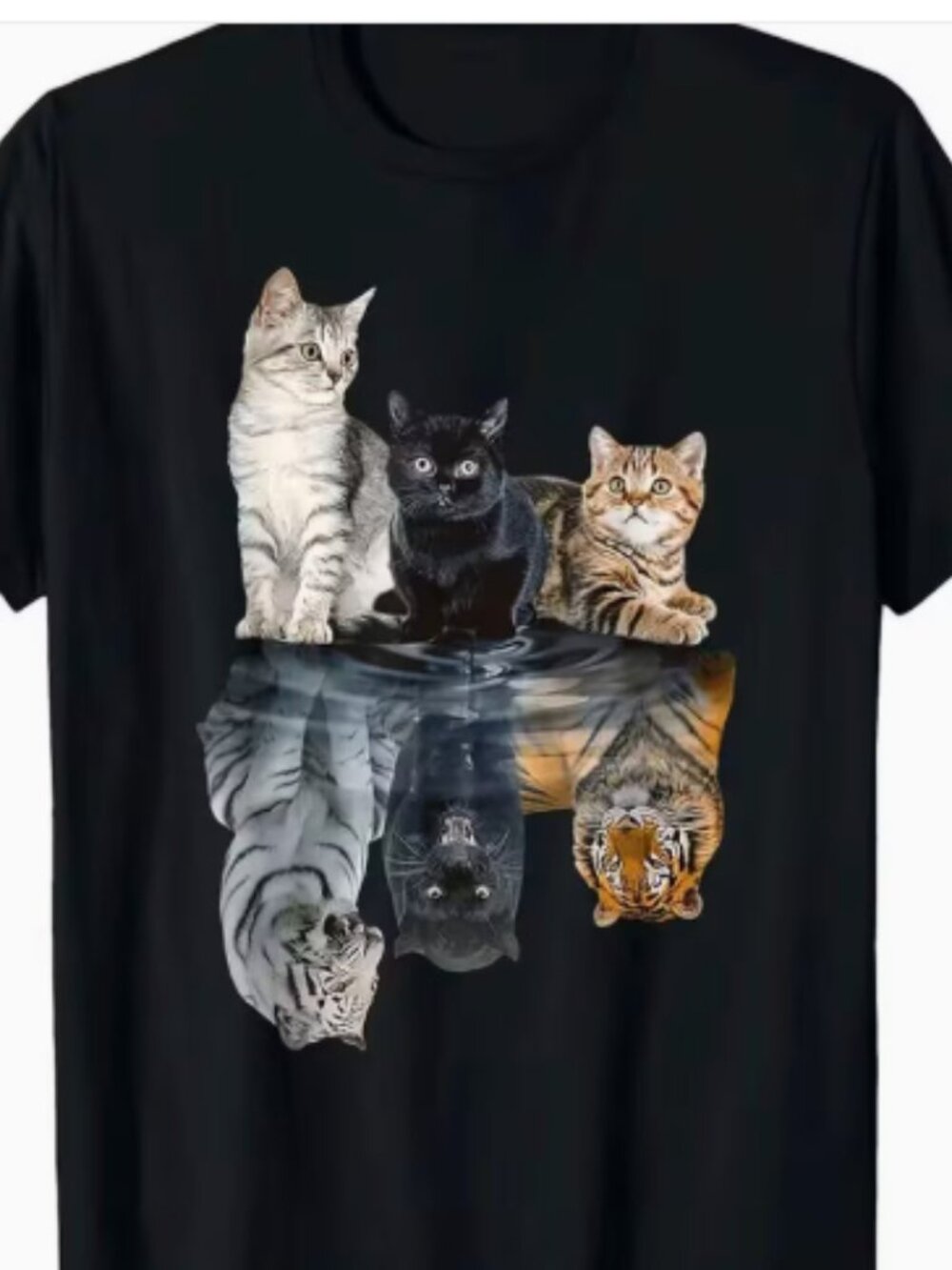 In a Cats Mind Graphic T's